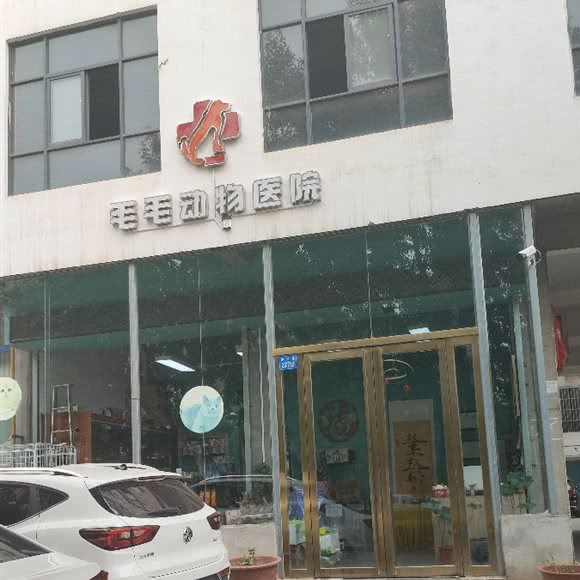 毛毛动物医院:洛阳市伊川县