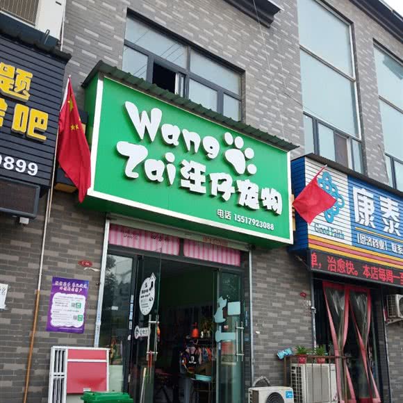 汪仔宠物:洛阳市偃师区