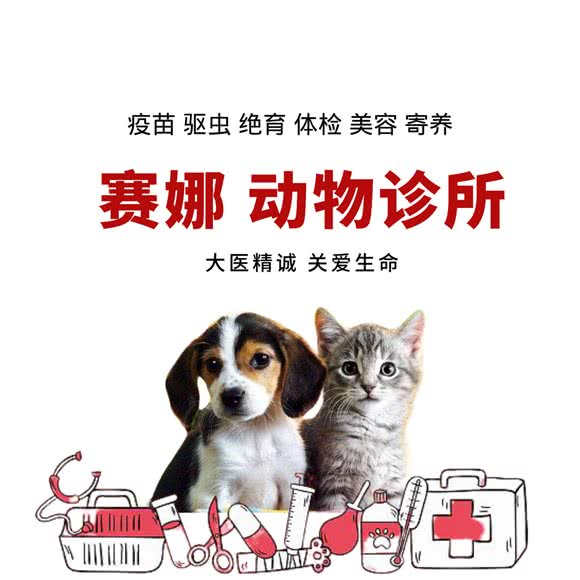 赛娜动物诊所(北京驻包头分店):包头市青山区民主路附近