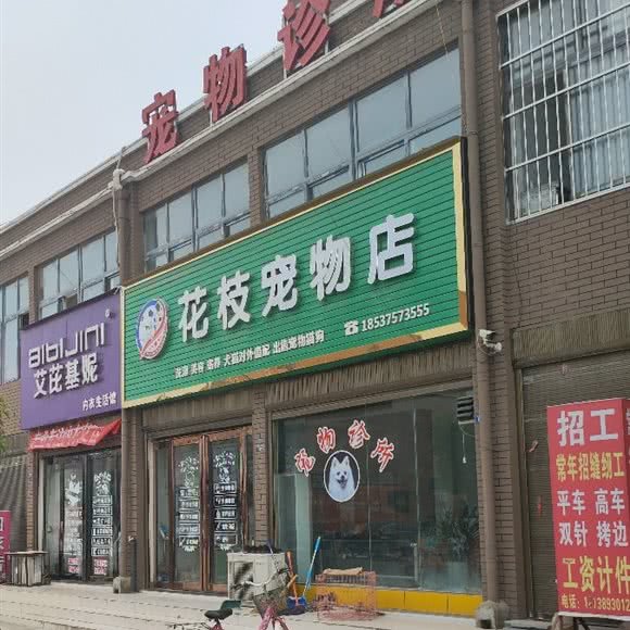 花枝宠物店:平顶山市鲁山县