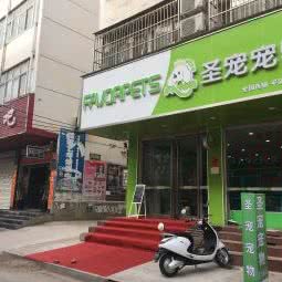 圣宠宠物(鲁山县金典华苑店):平顶山市鲁山县