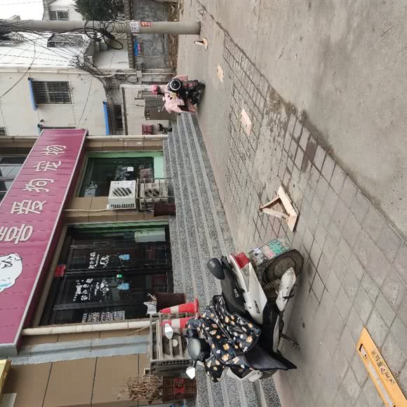 喜爱狗宠物:平顶山市鲁山县