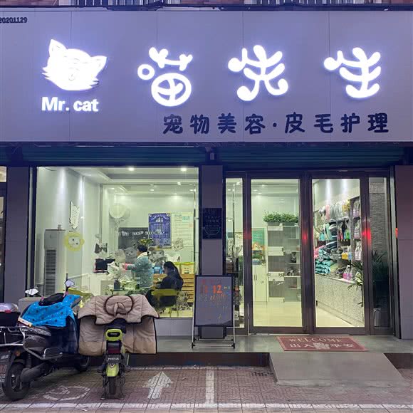 喵先生宠物美容·皮毛护理:平顶山市郏县