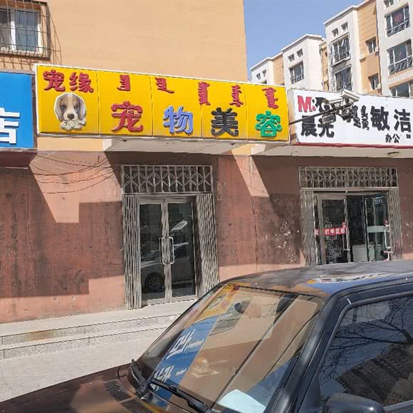 宠缘宠物美容:包头市青山区滨河新区附近