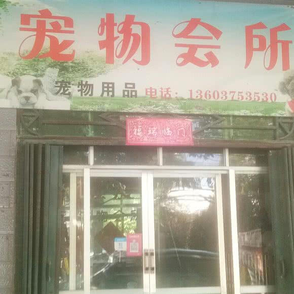宠物会所:平顶山市舞钢市