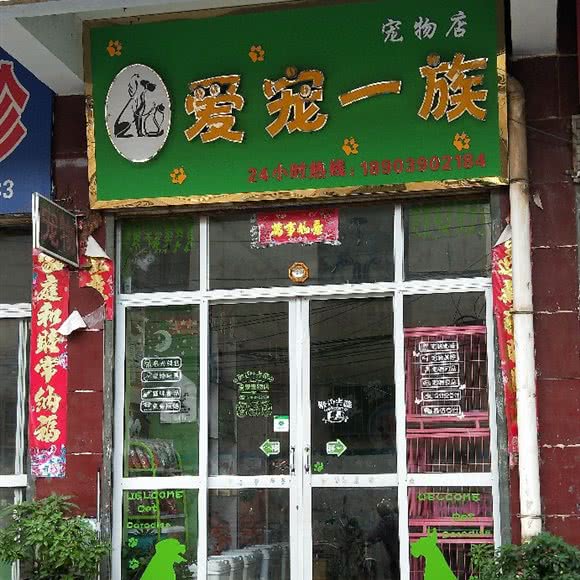 爱宠一族:平顶山市汝州市