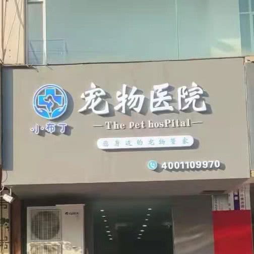 小布丁宠物医院:平顶山市汝州市