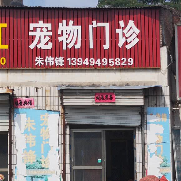 宠物门诊:平顶山市汝州市