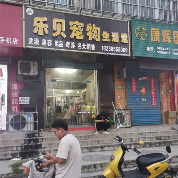 乐贝宠物生活馆:安阳市安阳县
