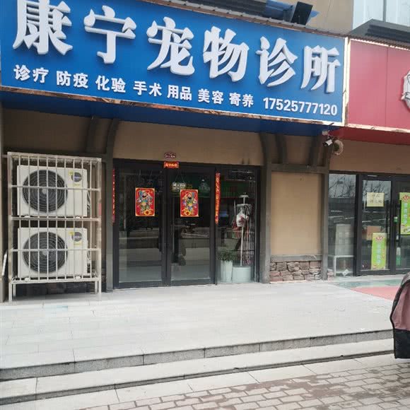 康宁宠物诊所:安阳市安阳县