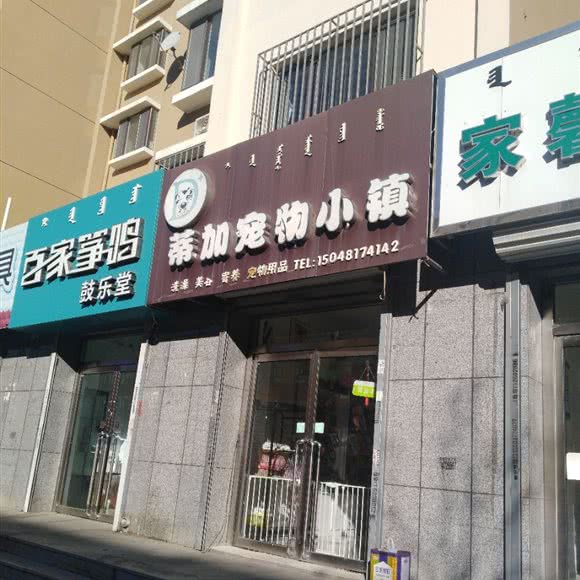 蒂加宠物小镇:包头市青山区师范学院附近