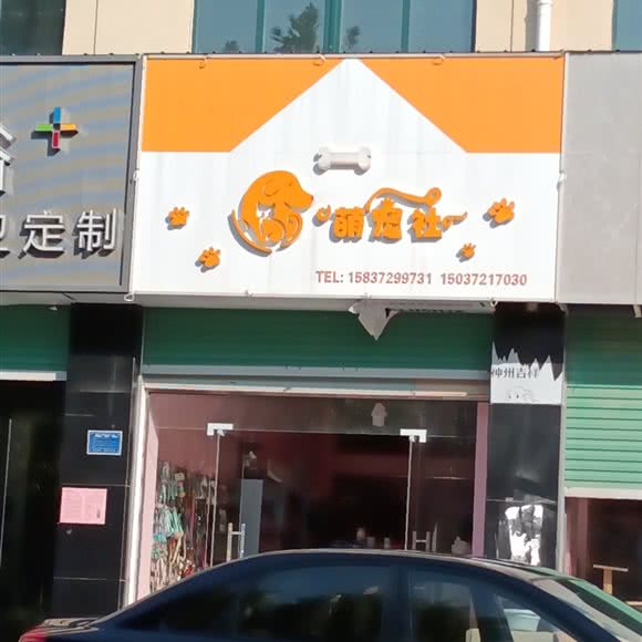 萌宠社:安阳市汤阴县