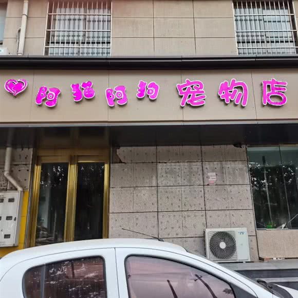阿猫阿狗宠物店:安阳市汤阴县