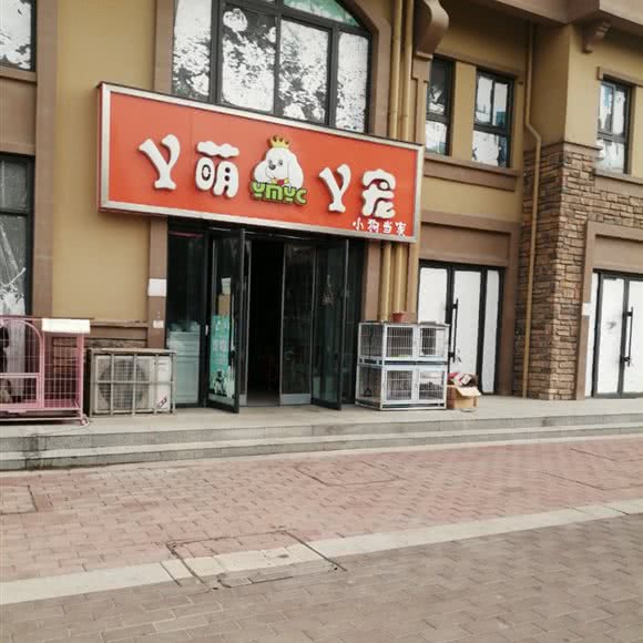 Y萌Y宠:安阳市汤阴县
