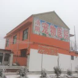 汤阴宠物医院:安阳市汤阴县