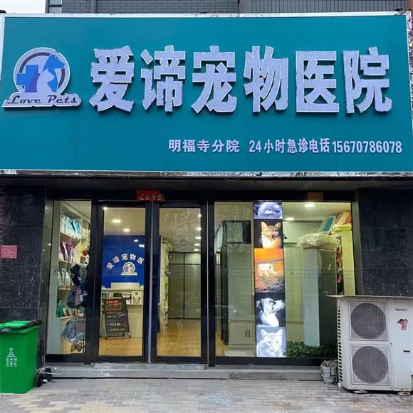 爱谛宠物医院:安阳市滑县