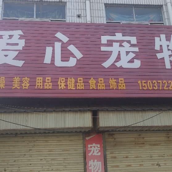 爱心宠物:安阳市内黄县