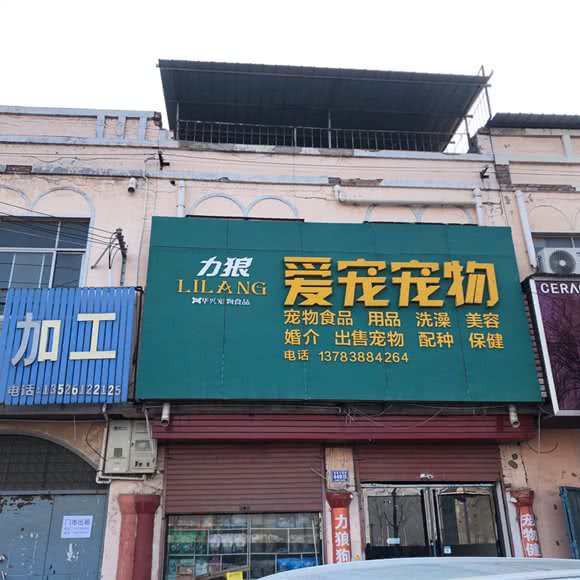 力狼爱宠宠物:安阳市内黄县