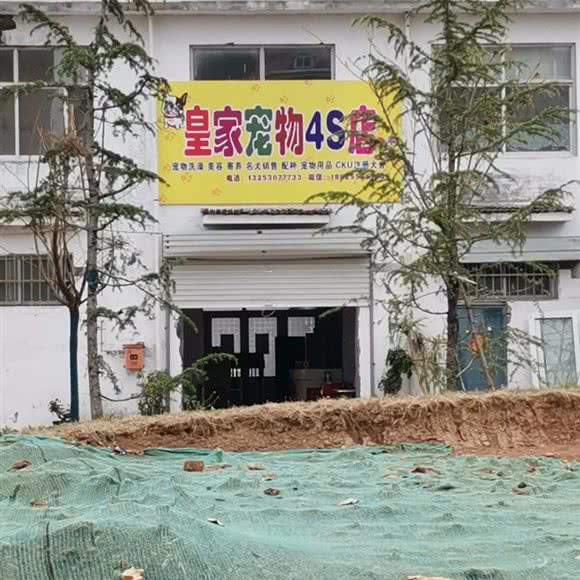 皇家宠物4S店:安阳市林州市