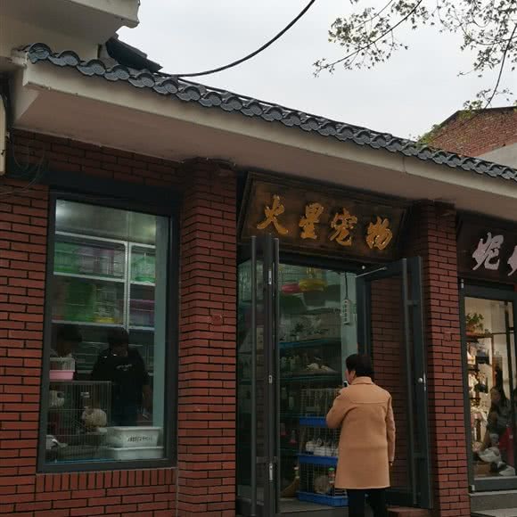 火星宠物:安阳市林州市