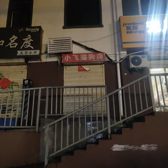 小飞猫狗店:鹤壁市山城区