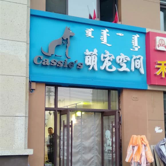 萌宠空间:包头市青山区青年农场附近