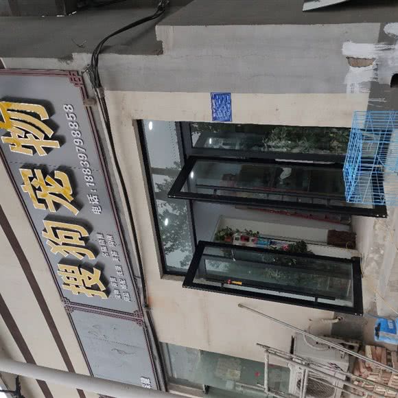 搜狗宠物:鹤壁市浚县