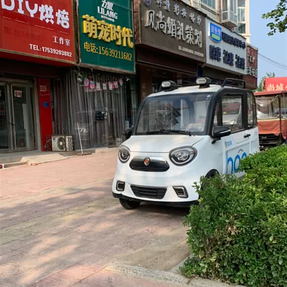 萌宠时代:鹤壁市浚县