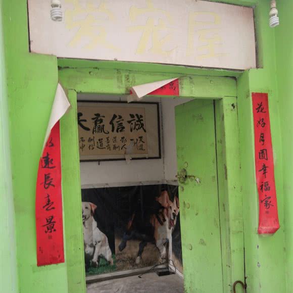 爱宠屋(黄河路店):鹤壁市浚县