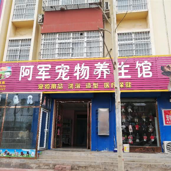 阿军宠物养生馆:鹤壁市淇县