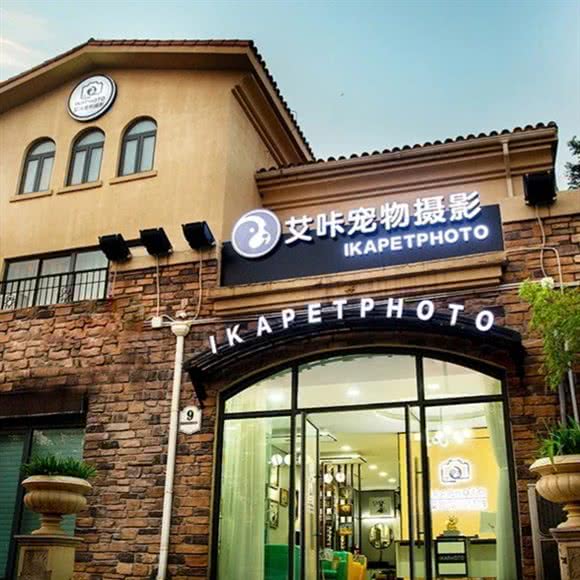 艾咔宠物摄影:新乡市卫滨区