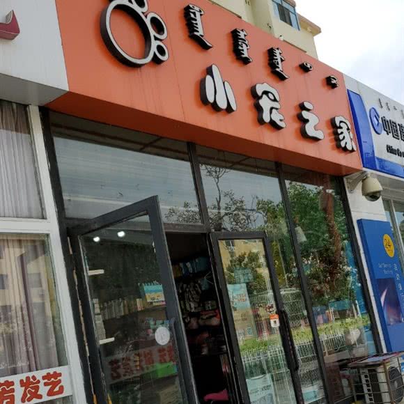 小宠之家:包头市青山区富强路四角附近