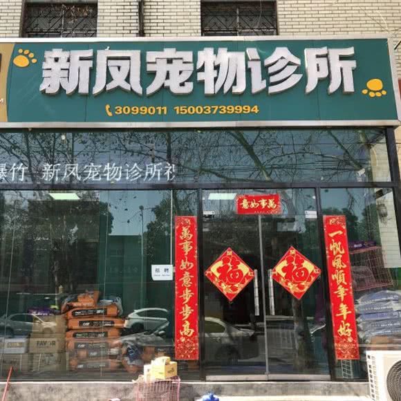 新凤宠物医院:新乡市凤泉区