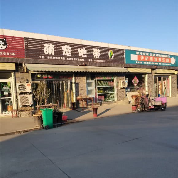 萌宠地带:新乡市牧野区