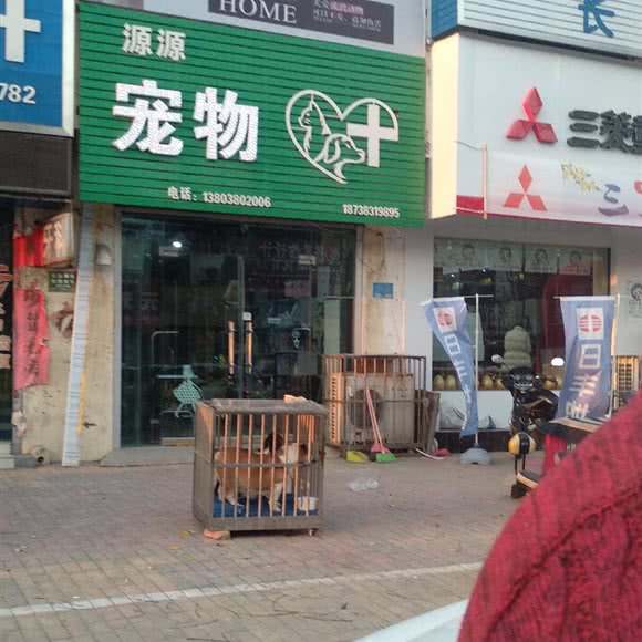 源源宠物:新乡市新乡县