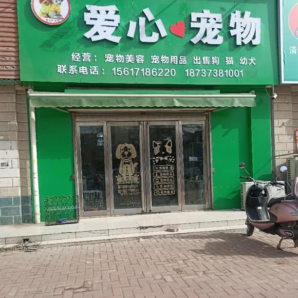 爱心宠物:新乡市原阳县