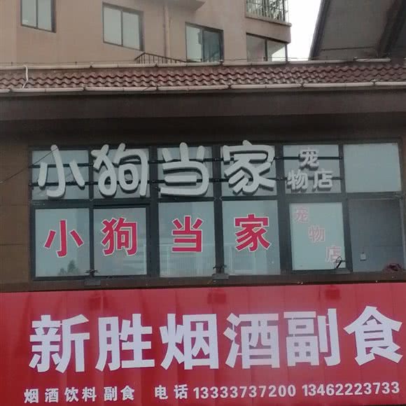小狗当家宠物店:新乡市延津县