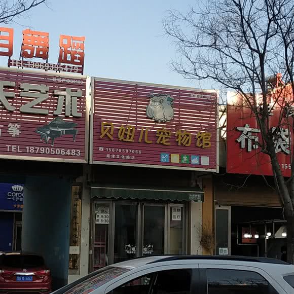 贝妞儿宠物馆(延津文化路店):新乡市延津县