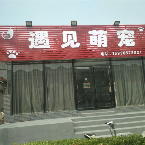 遇见萌宠:新乡市卫辉市