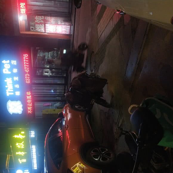 Think Pet精品宠物店:新乡市辉县市