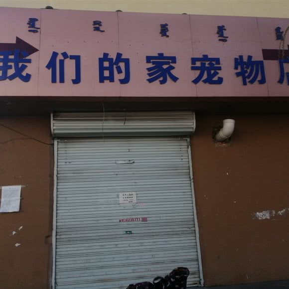 我们的家宠物店:包头市九原区九原区中心城区附近