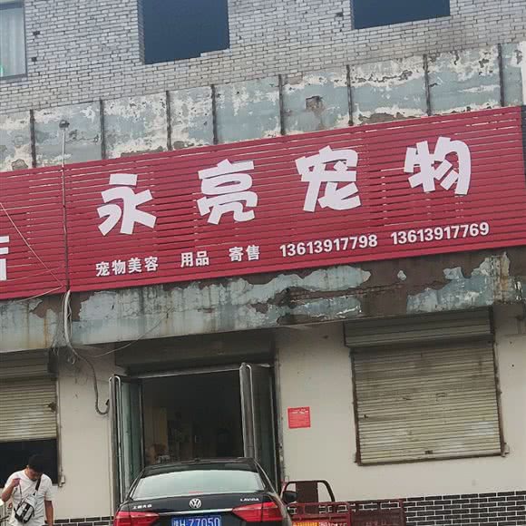 永亮宠物:焦作市马村区
