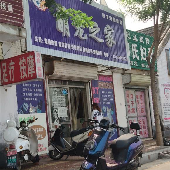 萌宠之家:焦作市修武县