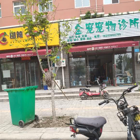 金宠宠物诊所:焦作市修武县