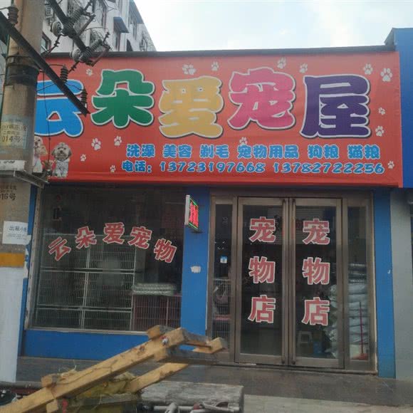 云朵爱宠屋:焦作市武陟县