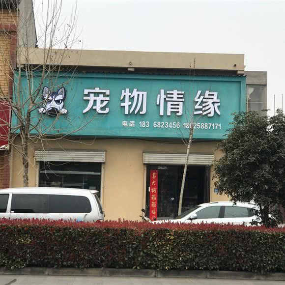宠物情缘:焦作市孟州市