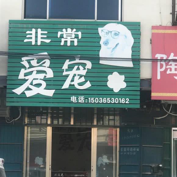 非常爱宠:焦作市孟州市