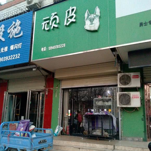 顽皮:濮阳市华龙区