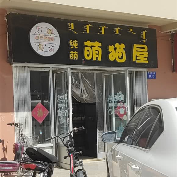 纯萌萌猫店:乌海市海勃湾区一中附近