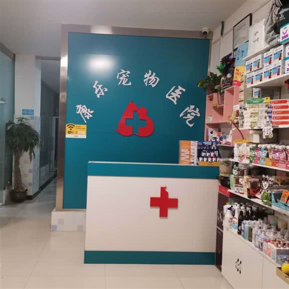 康乐宠物医院:濮阳市华龙区
